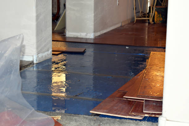 Professional Sewage Cleanup technician working in Burbank, SD